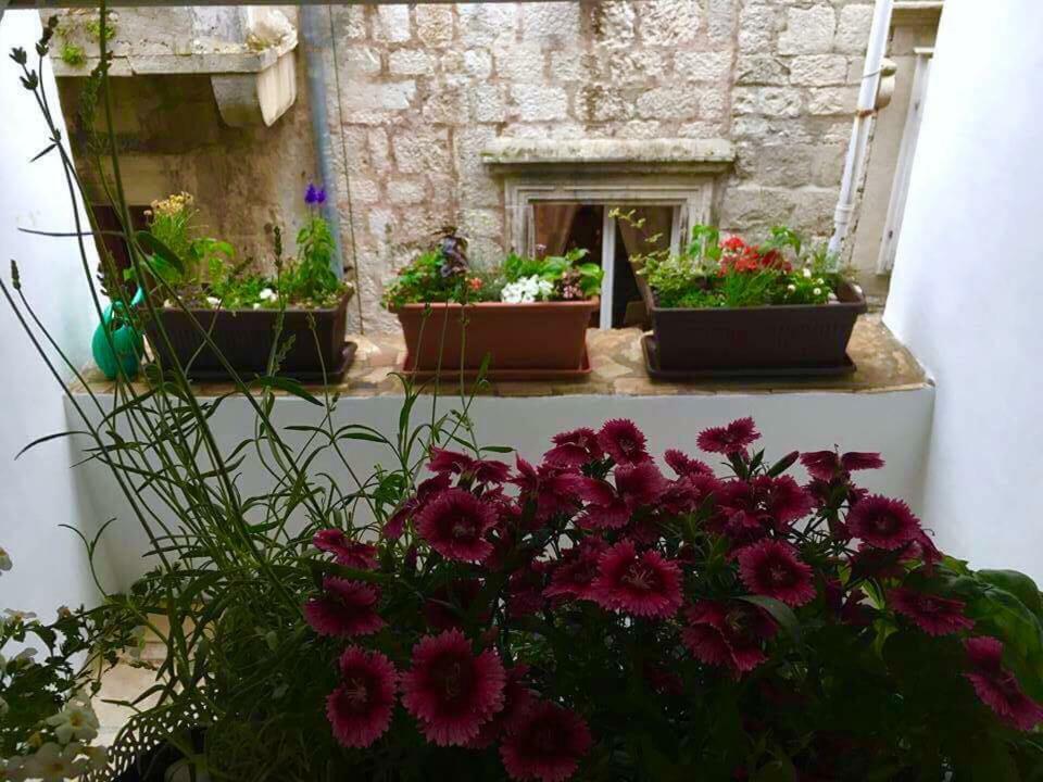 Puntin Rooms Sobe Korcula Town Luaran gambar